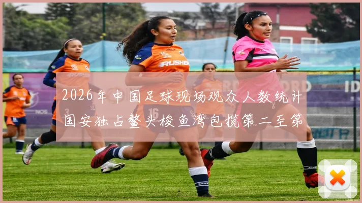 2026年中国足球现场观众人数统计国安独占鳌头梭鱼湾包揽第二至第七位